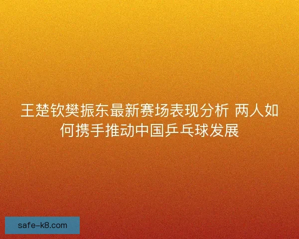 王楚钦樊振东最新赛场表现分析 两人如何携手推动中国乒乓球发展